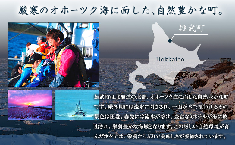 【定期便5回】　北海道雄武町産ほたて貝柱 中小混合 200g×6 (冷凍) 使い切りパック【0714402】