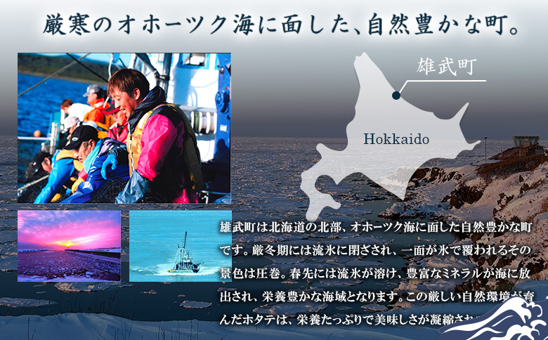 【オホーツク海の幸3種セット】ほたて貝柱 煮たこカット 煮つぶ（各200g×2袋）【0719701】 各200g×2袋