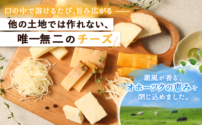 北海道雄武町産　チーズセット【0910101】