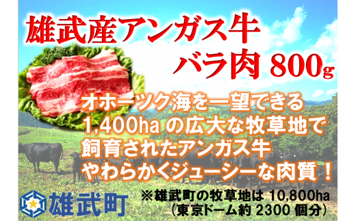 雄武産アンガス牛肉セット(冷凍)バラ肉400g×2【0911501】