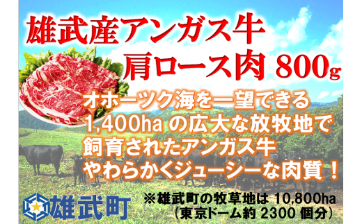 雄武産アンガス牛肉セット(冷凍)牛肩ロース肉400g×2【0911601】