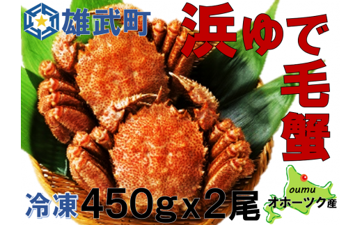 北海道雄武町産　毛がに（冷凍）(450g×2)【1240501】