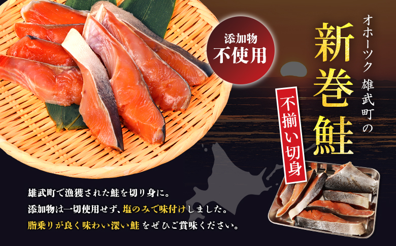 北海道産 新巻鮭切身1kg 不揃い【12437】