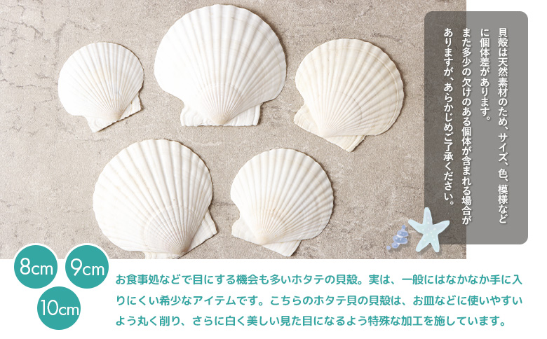 ほたて貝殻詰め合わせ【13001】