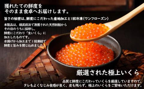 北海道雄武産　生冷いくら「我が家の黄金比」1パック150ｇ×2【07121】