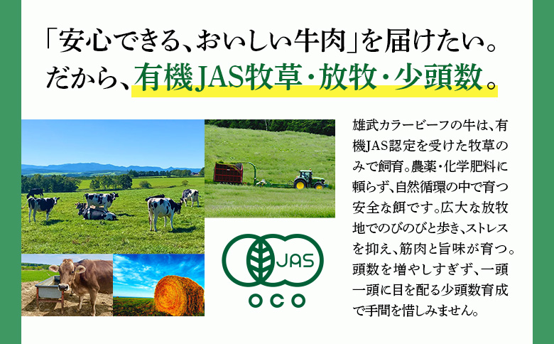 北海道雄武町産 有機黒毛和牛 肩ロース（200g）1枚【01123】