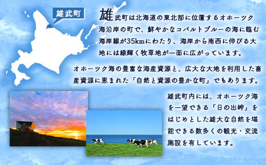 北海道オホーツク海産 朝ゆで毛ガニ 670g前後（冷蔵）【07147】