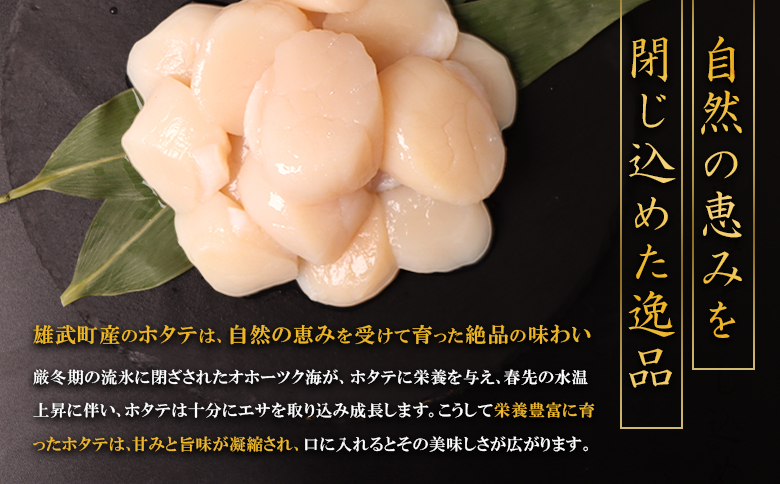 【定期便5回】　北海道雄武町産ほたて貝柱 中小混合 200g×3 (冷凍) 使い切りパック【0713902】