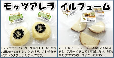 北海道雄武町産　チーズセット【0910101】