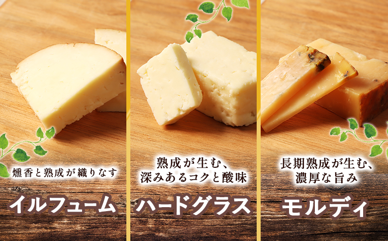 熟成チーズセット(ハードグラス25g×３　イルフューム25g×３　モルディ25g×３)【0910301】