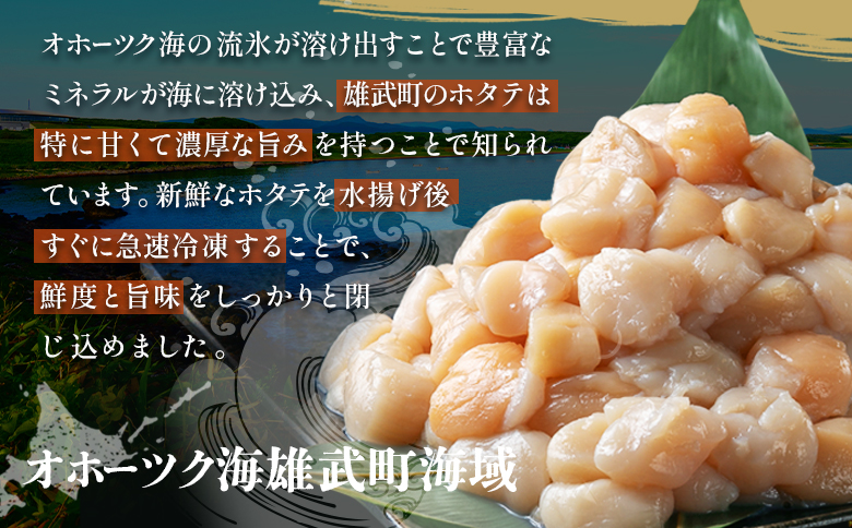 北海道雄武町産ホタテ貝柱２ｋｇ訳アリ小分けBCフレーク（500g×４）【1235203】