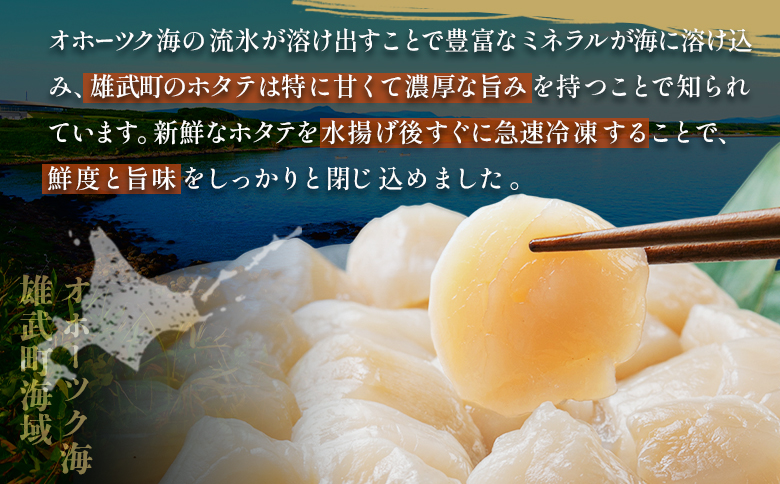 北海道雄武町産ホタテ貝柱２ｋｇ訳アリ小分けAフレーク（500g×４）【1235303】