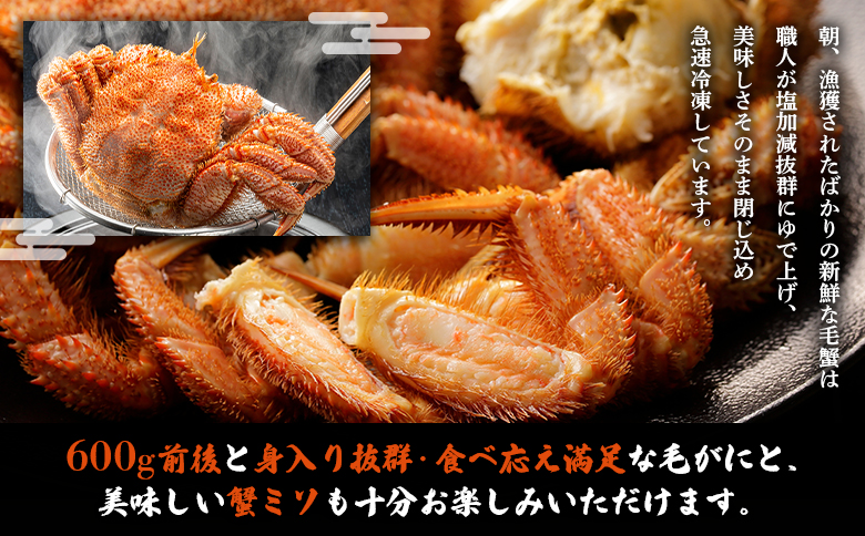 【北海道雄武町産】毛がに（冷凍）(600g前後×1)【1240701】