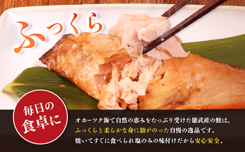 北海道産 新巻鮭切身1kg 不揃い【12437】