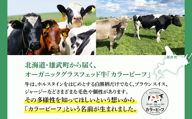 雄武産有機牛カラービーフ ひき肉（200ｇｘ３Ｐ）【01132】