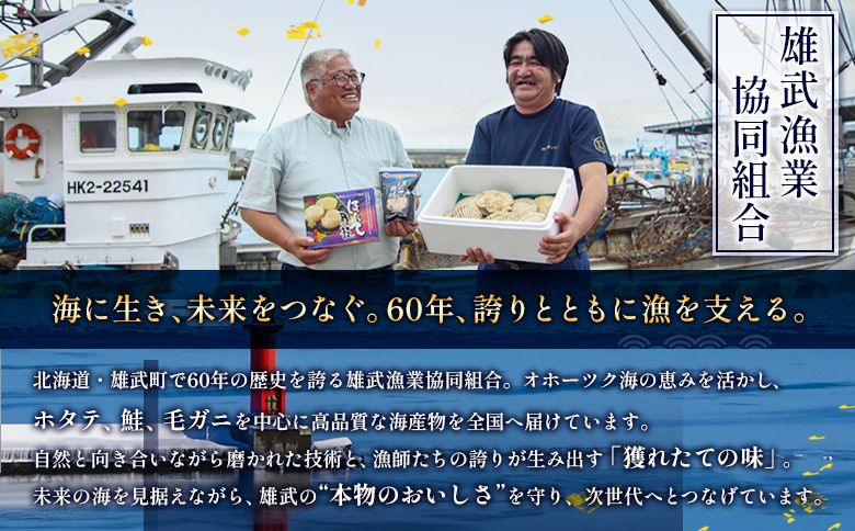 北海道雄武町産ほたて貝柱5S 1kg（冷凍）【0711804】