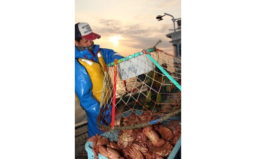 北海道雄武町産　毛がに（冷凍）(450g×2)【1240501】