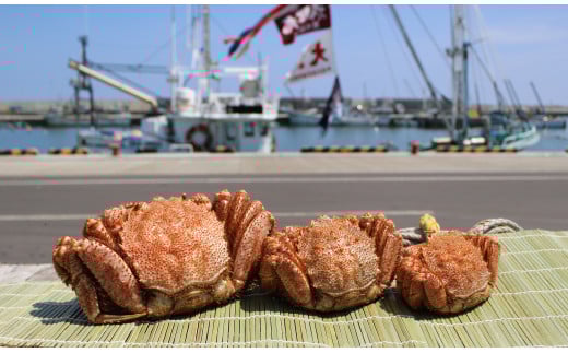 特大!毛がに（冷凍）北海道雄武町産(800g前後×1)【12404】