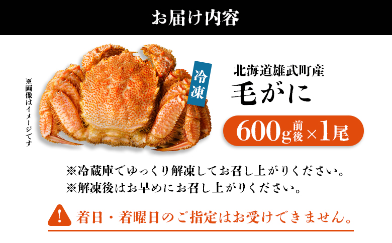 【北海道雄武町産】毛がに（冷凍）(600g前後×1)【1240701】
