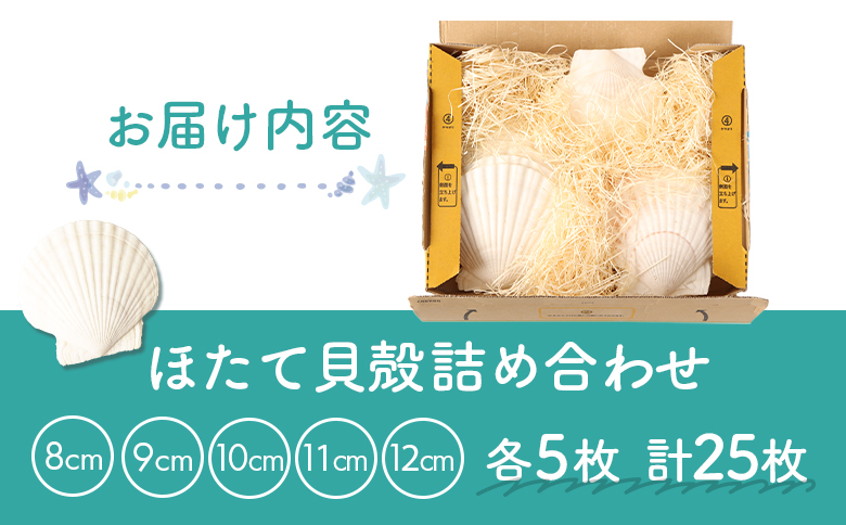 ほたて貝殻詰め合わせ【13001】