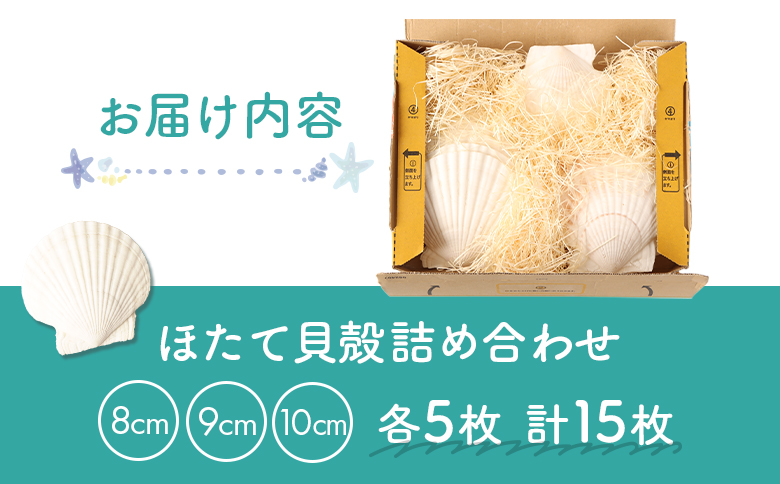 ほたて貝殻詰め合わせ【13001】