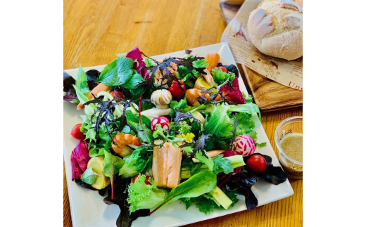 昆布の恵みドレッシングセット【0110901】