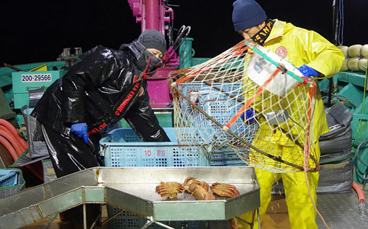 【先行予約】北海道オホーツク海産 訳あり 朝ゆで毛ガニ　2kg（冷蔵）【0712201】