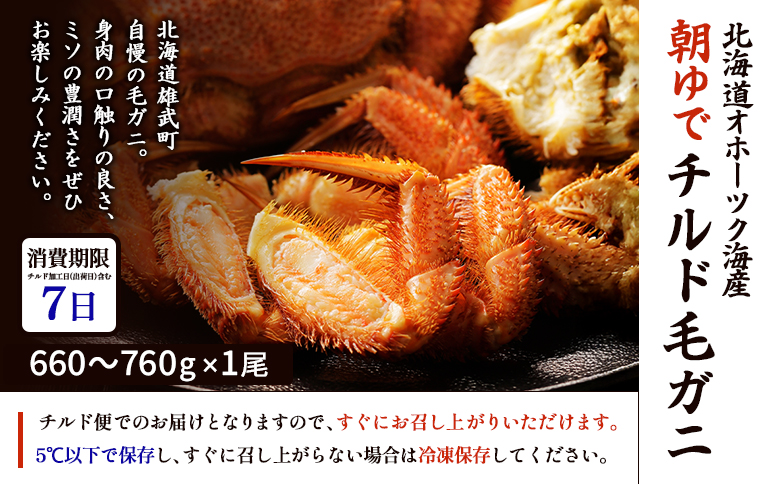 北海道オホーツク海産 朝ゆで毛ガニ 670g前後（冷蔵）【07147】