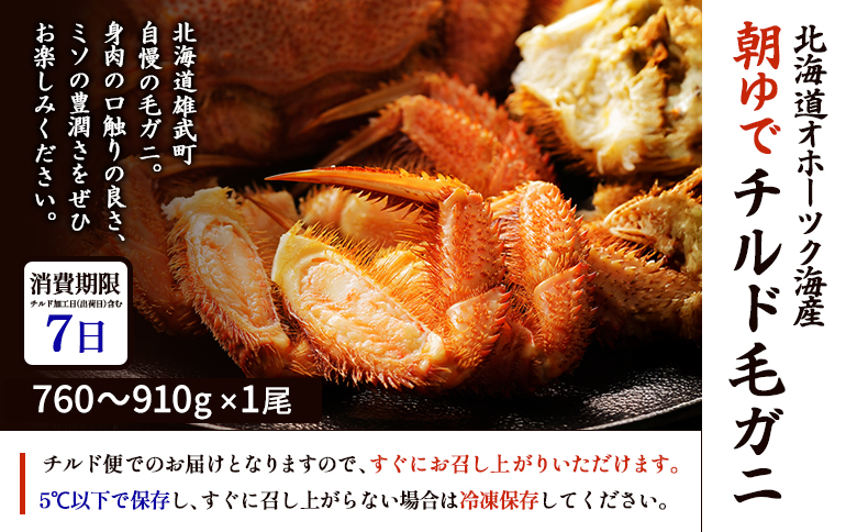 北海道オホーツク海産 朝ゆで毛ガニ 800g前後（冷蔵）【07148】