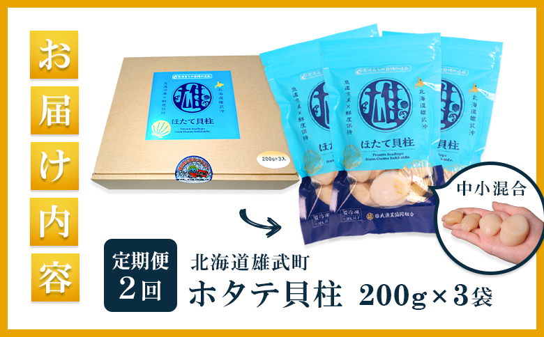 【定期便2回】　北海道雄武町産ほたて貝柱 中小混合 200g×3 (冷凍) 使い切りパック【0713602】