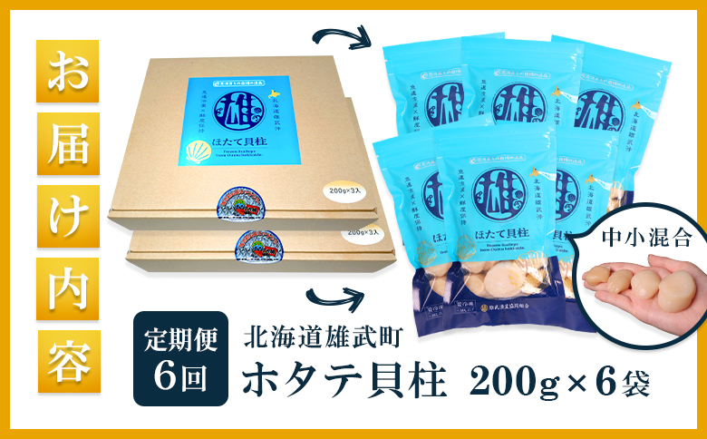 【定期便6回】　北海道雄武町産ほたて貝柱 中小混合 200g×6 (冷凍) 使い切りパック【0714502】
