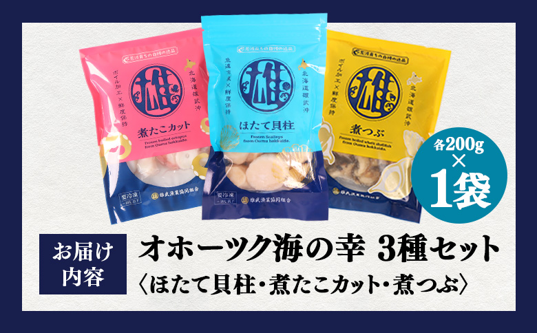 【オホーツク海の幸3種セット】ほたて貝柱 煮たこカット 煮つぶ（各200g×1袋）【0719601】 各200g×1袋