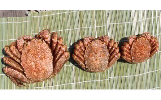 特大!毛がに（冷凍）北海道雄武町産(800g前後×1)【12404】