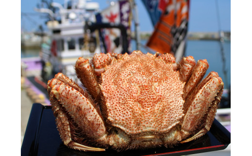 北海道産大大大毛がに700g前後×1（冷凍）【1234801】