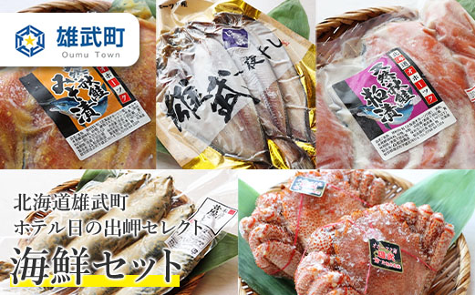 北海道雄武町ホテル日の出岬セレクト海鮮セット【0610101】
