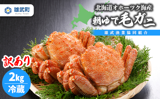 【先行予約】北海道オホーツク海産 訳あり 朝ゆで毛ガニ　2kg（冷蔵）【0712201】
