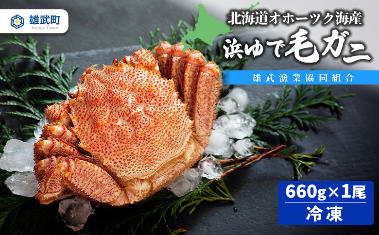 北海道オホーツク海産　浜ゆで毛ガニ660ｇ×1尾（冷凍）【07130】