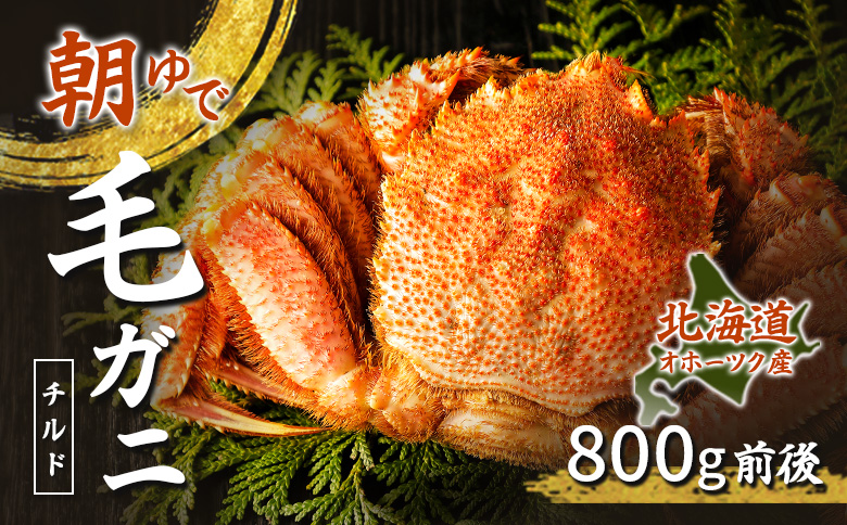 北海道オホーツク海産 朝ゆで毛ガニ 800g前後（冷蔵）【07148】