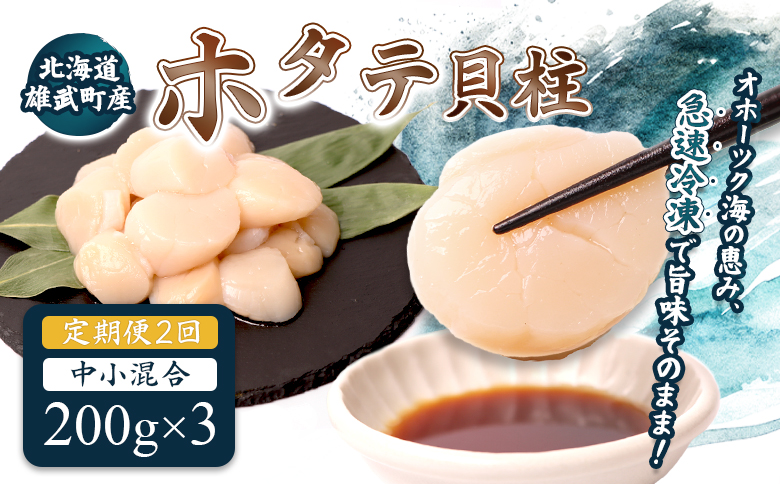 【定期便2回】　北海道雄武町産ほたて貝柱 中小混合 200g×3 (冷凍) 使い切りパック【0713602】