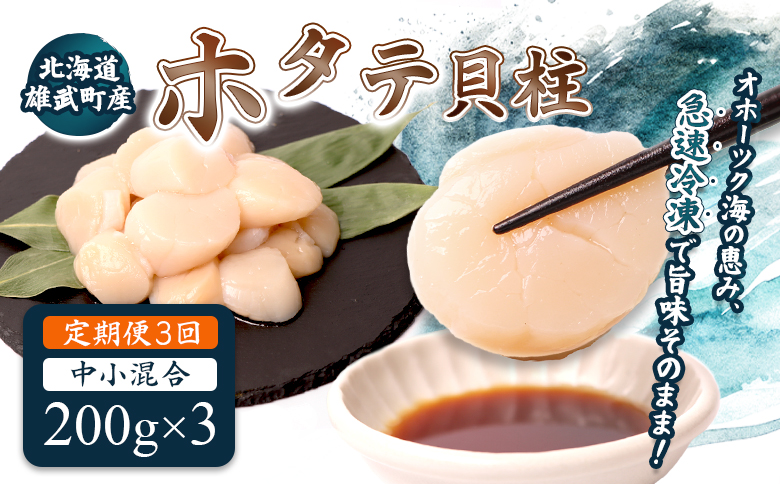 【定期便3回】　北海道雄武町産ほたて貝柱 中小混合 200g×3 (冷凍) 使い切りパック【0713702】