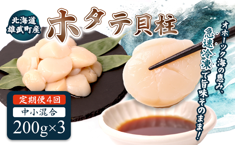 【定期便4回】　北海道雄武町産ほたて貝柱 中小混合 200g×3 (冷凍) 使い切りパック【0713802】