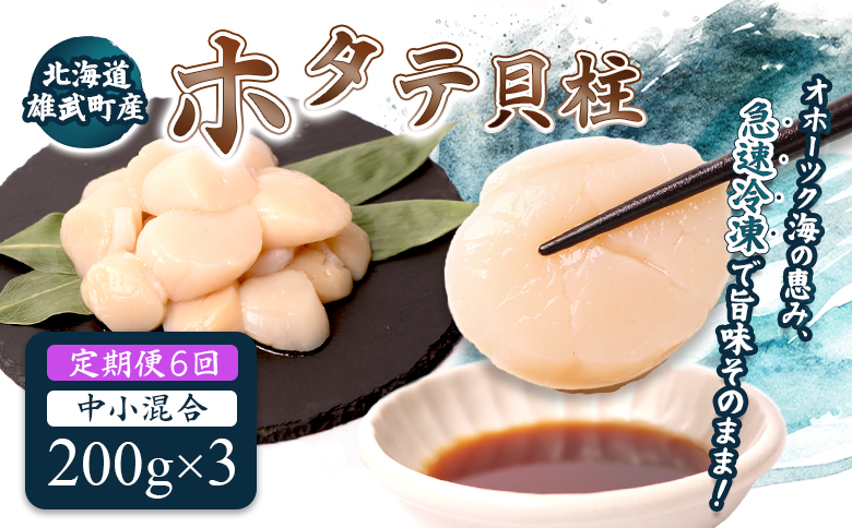 【定期便6回】　北海道雄武町産ほたて貝柱 中小混合 200g×3 (冷凍) 使い切りパック【0714002】