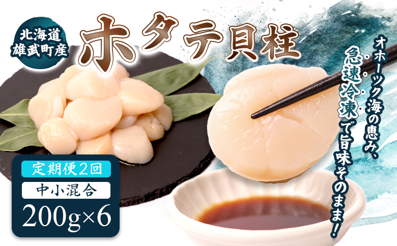 【定期便2回】　北海道雄武町産ほたて貝柱 中小混合 200g×6 (冷凍) 使い切りパック【0714102】