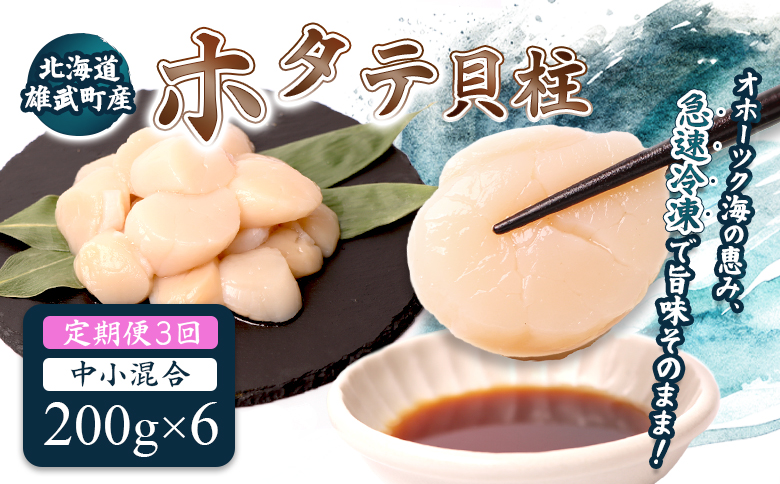 【定期便3回】　北海道雄武町産ほたて貝柱 中小混合 200g×6 (冷凍) 使い切りパック【0714202】