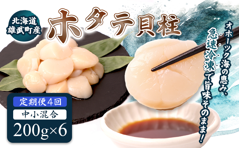 【定期便4回】　北海道雄武町産ほたて貝柱 中小混合 200g×6 (冷凍) 使い切りパック【0714302】