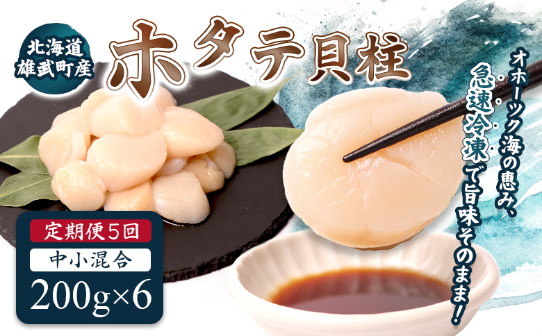 【定期便5回】　北海道雄武町産ほたて貝柱 中小混合 200g×6 (冷凍) 使い切りパック【0714402】
