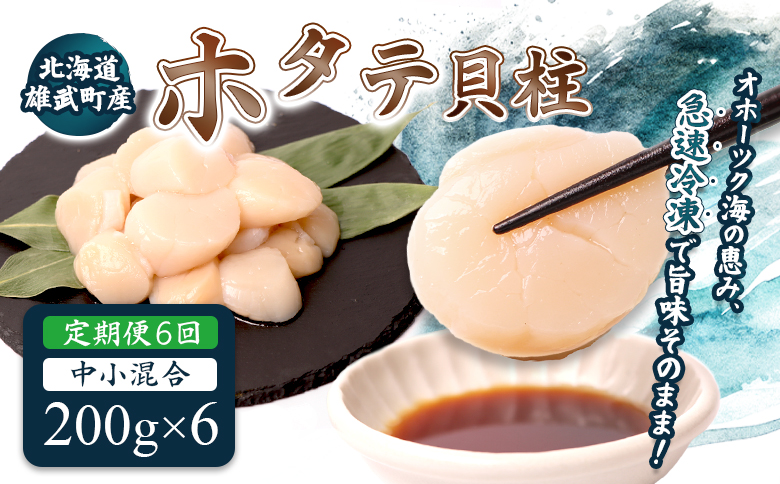 【定期便6回】　北海道雄武町産ほたて貝柱 中小混合 200g×6 (冷凍) 使い切りパック【0714502】