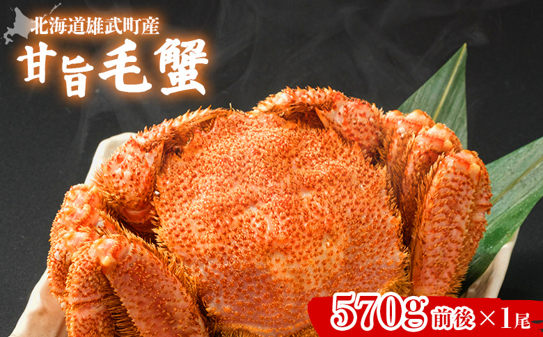 【北海道雄武町産】甘旨毛蟹 570g前後1尾【07184】