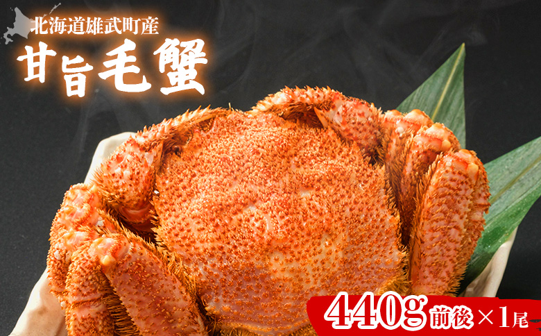 【北海道雄武町産】甘旨毛蟹 440g前後×1尾【07185】