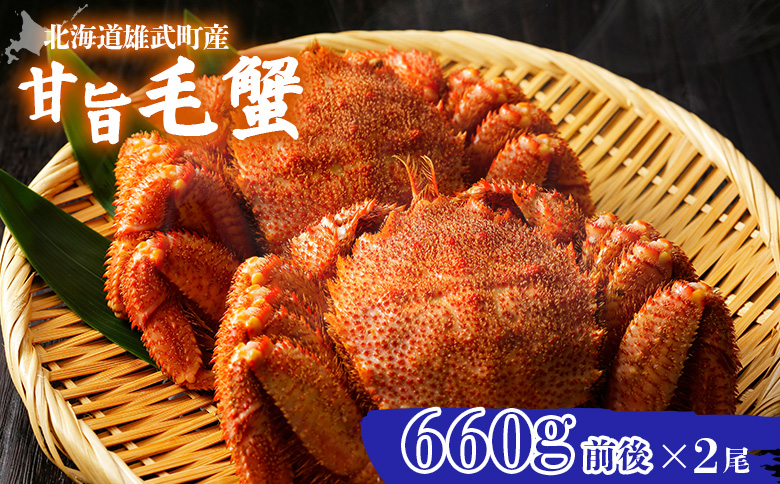 【北海道雄武町産】甘旨毛蟹 660g前後×2尾【07188】